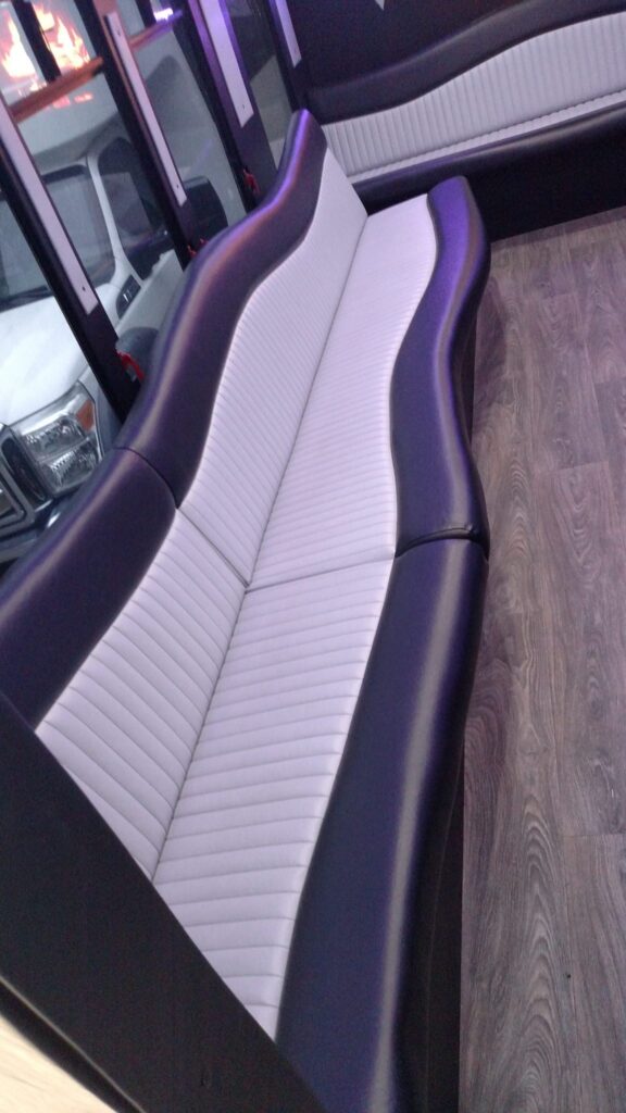 22 Passenger Titanium - Interior 4