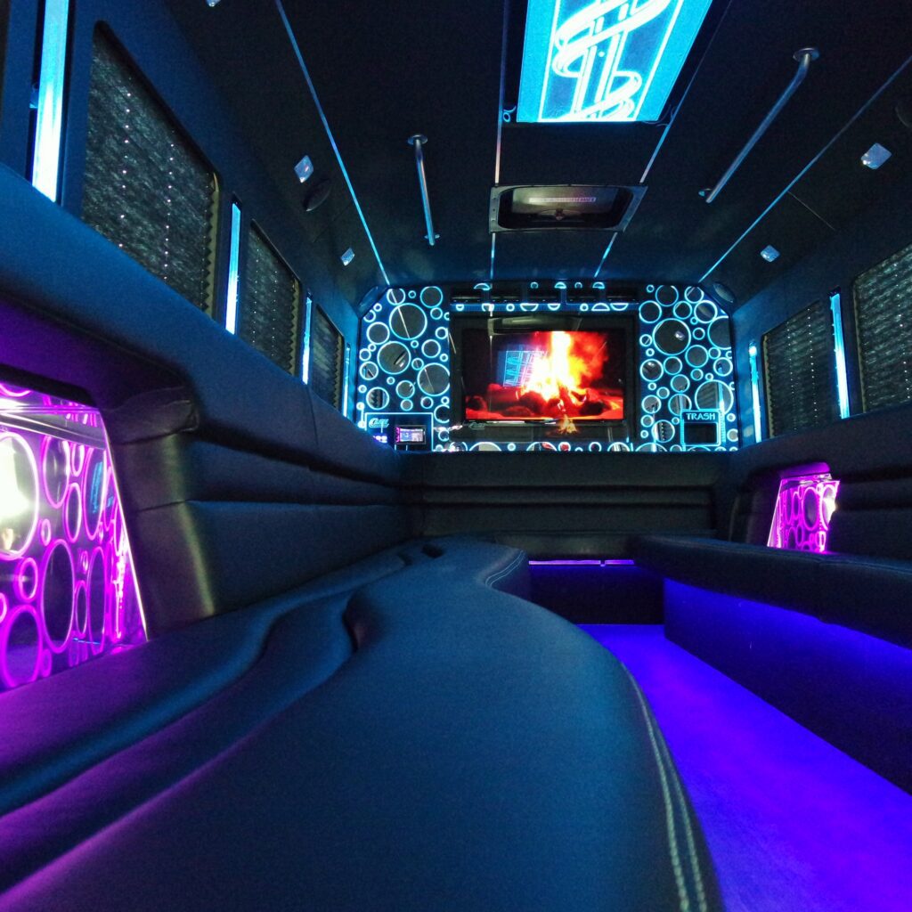 28 Passenger Platinum - Interior 1