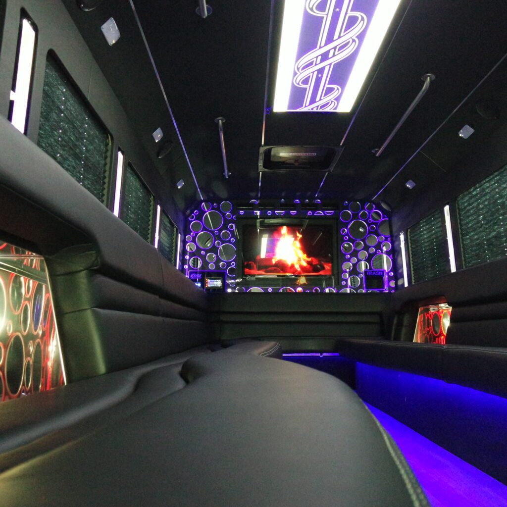 28 Passenger Platinum - Interior 5