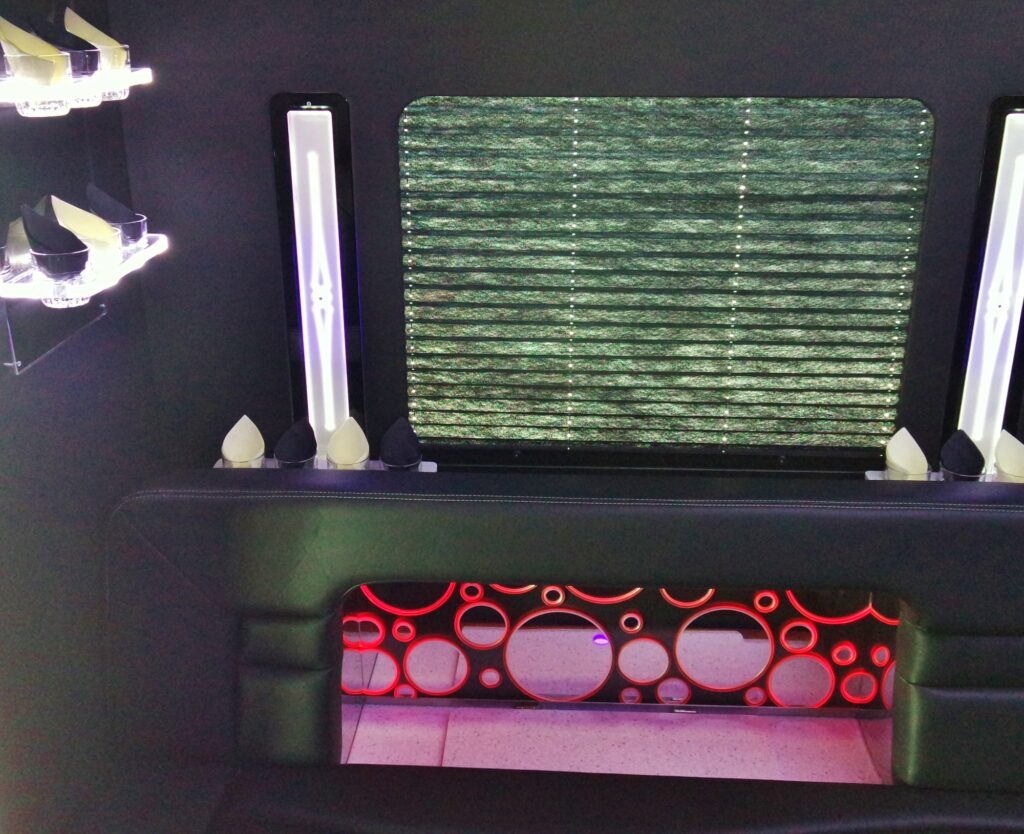 28 Passenger Platinum - Interior 4