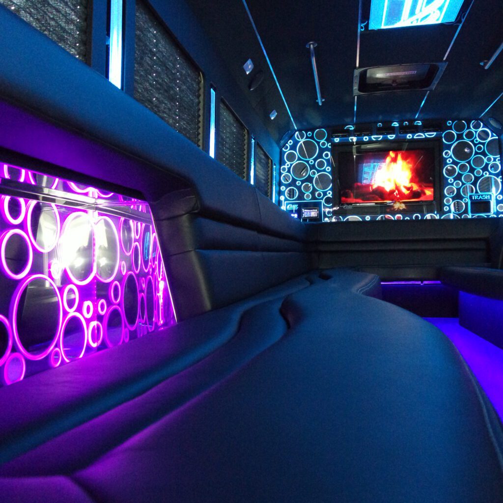 28 Passenger Platinum - Interior 3