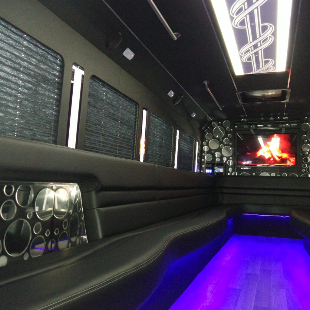 28 Passenger Platinum - Interior 2